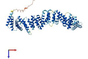 AlphaFold protein structure predicition of Human Recombinant TTC34 Protein, UniprotID A8MYJ7 (TTC34 Protein (AA 1-566) (His tag))