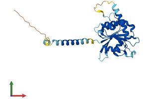 AlphaFold protein structure predicition of Human Recombinant SRPRB Protein, UniprotID Q9Y5M8