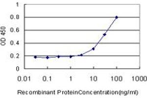 Detection limit for recombinant GST tagged PHC1 is approximately 3ng/ml as a capture antibody. (PHC1 Antikörper  (AA 751-851))