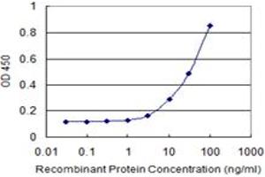 Detection limit for recombinant GST tagged TAF1C is 1 ng/ml as a capture antibody. (TAF1C Antikörper  (AA 761-869))