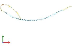 AlphaFold protein structure predicition of Mouse Recombinant Sprr1a Protein, UniprotID Q62266