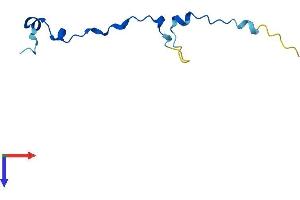 ANAPC13 Protein (AA 1-74) (Fc Tag)