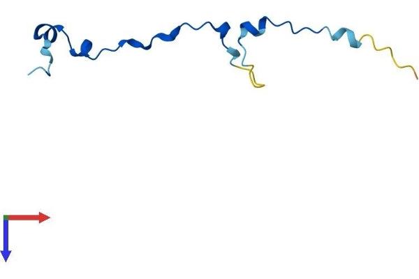ANAPC13 Protein (AA 1-74) (Fc Tag)