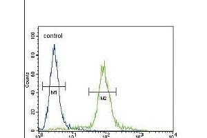 ITGA11 Antibody (N-term)  flow cytometric analysis of Neuro-2a cells (right histogram) compared to a negative control cell (left histogram). (ITGA11 Antikörper  (N-Term))