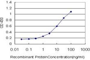Detection limit for recombinant GST tagged CD93 is approximately 0. (CD93 Antikörper  (AA 33-140))