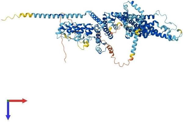 TRPC7 Protein (AA 1-862) (His tag)