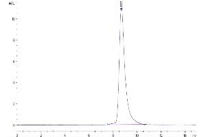 Size-exclusion chromatography-High Pressure Liquid Chromatography (SEC-HPLC) image for Plasminogen Activator, Urokinase Receptor (PLAUR) (AA 23-305) protein (His tag) (ABIN7275402)