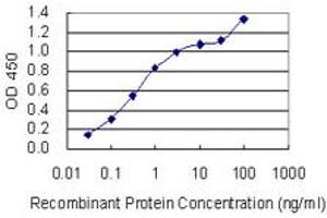 Detection limit for recombinant GST tagged SGCD is 0. (SGCD Antikörper  (AA 114-189))