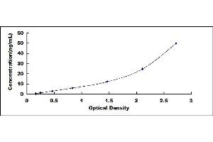 Typical standard curve (SLC2A3 ELISA Kit)