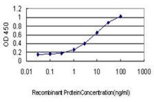 Detection limit for recombinant GST tagged SH3BP2 is approximately 0. (SH3BP2 Antikörper  (AA 452-561))