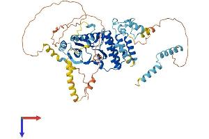 RIOK1 Protein (AA 1-568) (His tag)