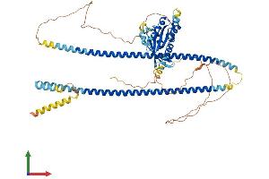 AlphaFold protein structure predicition of Mouse Recombinant Rasef Protein, UniprotID Q5RI75
