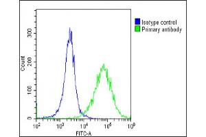 Overlay histogram showing Hela cells stained with (ABIN6243231 and ABIN6578796)(green line).