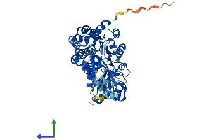 Protein Structure (PS) image for Aldehyde Dehydrogenase 3 Family, Member B3 (Aldh3b3) (AA 1-479) protein (His tag) (ABIN7562162)