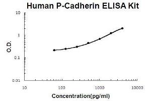 Human P-Cadherin PicoKine ELISA Kit standard curve (P-Cadherin ELISA Kit)