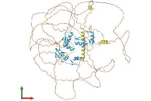 Protein Structure (PS) image for B-Cell CLL/lymphoma 11A (Zinc Finger Protein) (BCL11A) (AA 1-835) protein (His tag) (ABIN7552729)