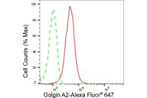 Flow cytometric analysis of Golgin A2 expression in HepG2 cells using Golgin A2 antibody (ABIN7798797), 1:2,000). (Rekombinanter Golgin A2 (GOLGA2) Antikörper)