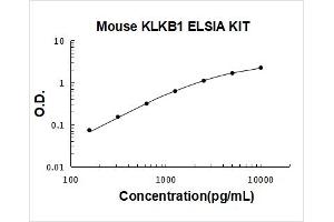 Kallikrein B, Plasma (Fletcher Factor) 1 (KLKB1) ELISA Kit