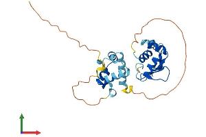 Protein Structure (PS) image for E74-Like Factor 5 (Ets Domain Transcription Factor) (ELF5) (AA 1-253) protein (His tag) (ABIN7559862)