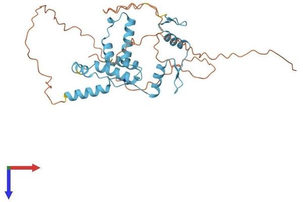 ZNF396 Protein (AA 1-335) (His tag)