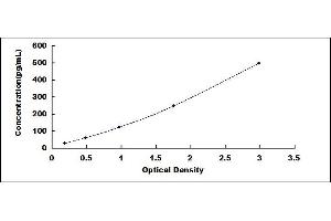 Typical standard curve (PLGF ELISA Kit)