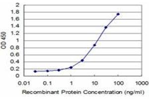 Detection limit for recombinant GST tagged HD is approximately 0. (Huntingtin Antikörper  (AA 81-190))