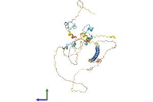 AlphaFold protein structure predicition of Human Recombinant ZC3H10 Protein, UniprotID Q96K80