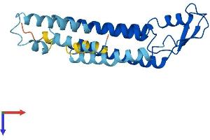 GJB2 Protein (AA 1-226) (His tag)