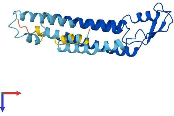 GJB2 Protein (AA 1-226) (His tag)
