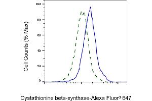 Validation of Cystathionine beta-synthase knockdown using flow cytometry.