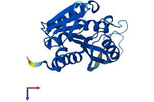 METTL5 Protein (AA 1-209) (His tag)