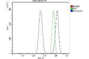 Flow Cytometry analysis of U87 cells using anti-Epac1/RAPGEF3 antibody (ABIN7601784).