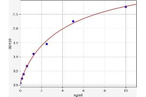 Typical standard curve (SCUBE1 ELISA Kit)