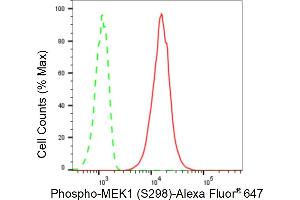 Flow cytometric analysis of Phospho-MEK1 (S298) expression in C2C12 cells using Phospho-MEK1 (S298) antibody (ABIN7799462), 1:2,000). (Rekombinanter MEK1 Antikörper  (pSer298))