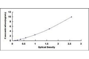 CCT2 ELISA Kit