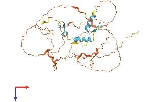 SP6 Protein (AA 1-376) (His tag)