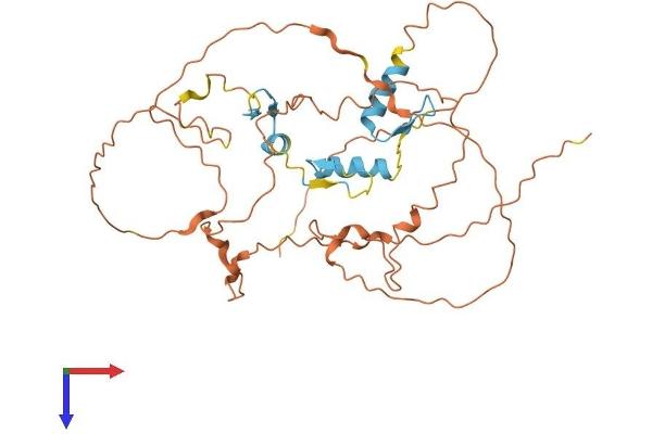 SP6 Protein (AA 1-376) (His tag)