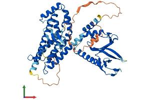AlphaFold protein structure predicition of Mouse Recombinant Arhgef4 Protein, UniprotID Q7TNR9