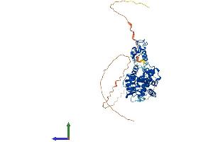 Protein Structure (PS) image for Retinoic Acid Receptor, gamma (RARG) (AA 1-458) protein (His tag) (ABIN7562933)