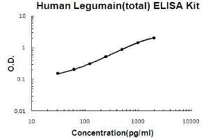 Human Legumain(total) PicoKine ELISA Kit standard curve