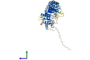 Protein Structure (PS) image for F-Box and Leucine-Rich Repeat Protein 6 (FBXL6) (AA 1-535) protein (His tag) (ABIN7561765)