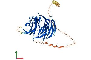 AlphaFold protein structure predicition of Human Recombinant PAK1IP1 Protein, UniprotID Q9NWT1