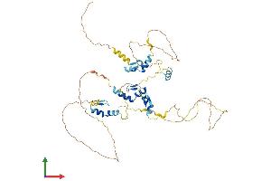 AlphaFold protein structure predicition of Human Recombinant ZNF385B Protein, UniprotID Q569K4