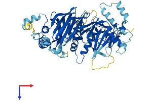 DET1 Protein (DET1) (AA 1-550) (His tag)