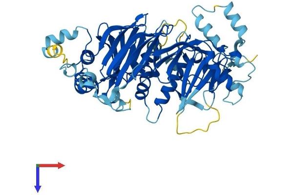 DET1 Protein (DET1) (AA 1-550) (His tag)
