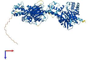 HK3 Protein (AA 1-922) (His tag)