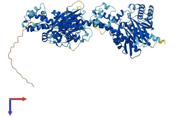 HK3 Protein (AA 1-922) (His tag)