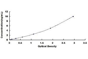 Typical standard curve (RBM3 ELISA Kit)