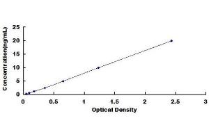 Typical standard curve (COL10 ELISA Kit)