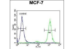 CNPY2 Antibody (C-term) (ABIN653911 and ABIN2843148) flow cytometric analysis of MCF-7 cells (right histogram) compared to a negative control cell (left histogram). (CNPY2/MSAP Antikörper  (C-Term))